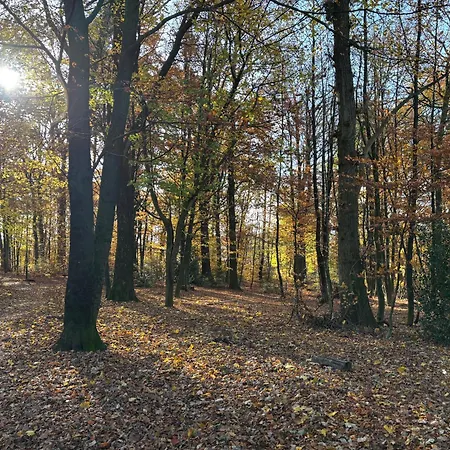 Wohlfuehlquartier Hueckeswagen Huckeswagen