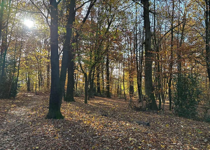 Wohlfuehlquartier Hueckeswagen Huckeswagen